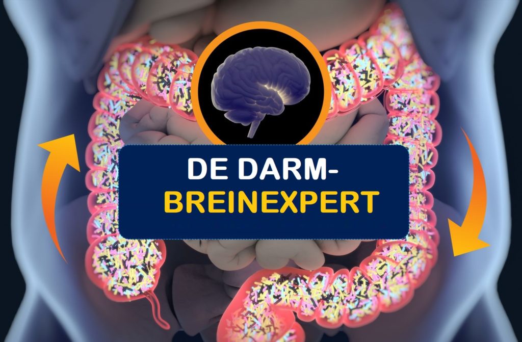 darm-brein connectie