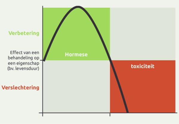 Wat doet vasten met het lichaam? | Power Academy