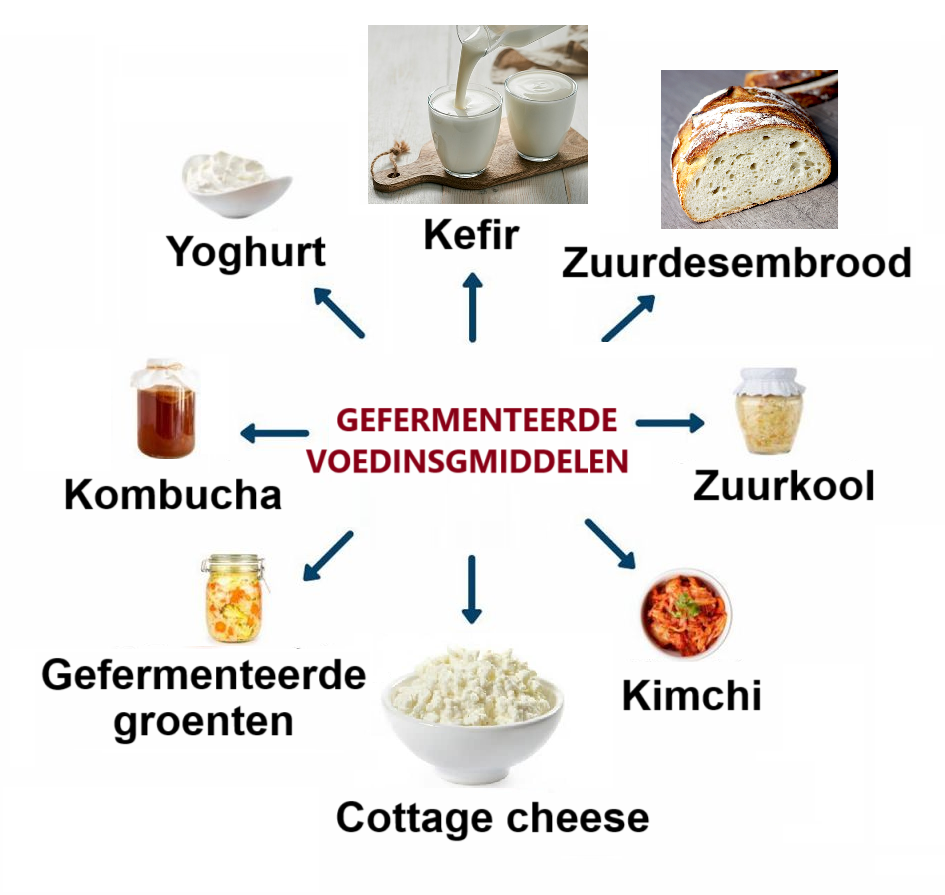 gefermenteerde voeding 