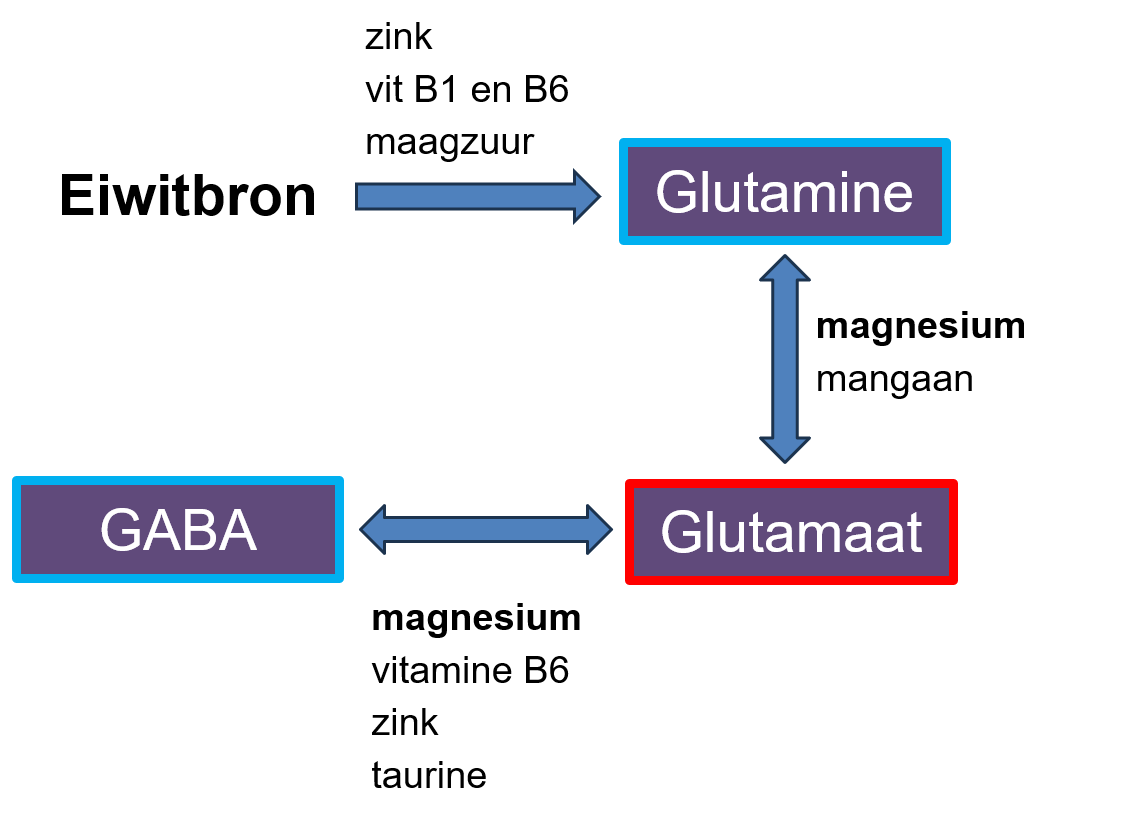 GABA