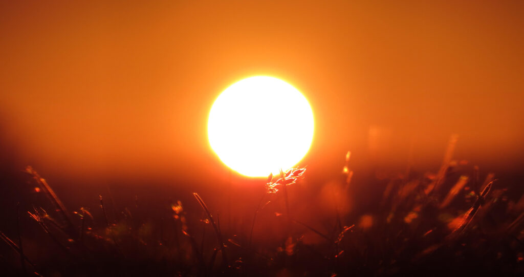 zonlicht