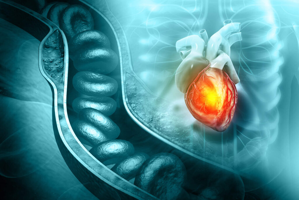 Het ‘gezonde’ vet dat je bloedvaten langzaam beschadigt.