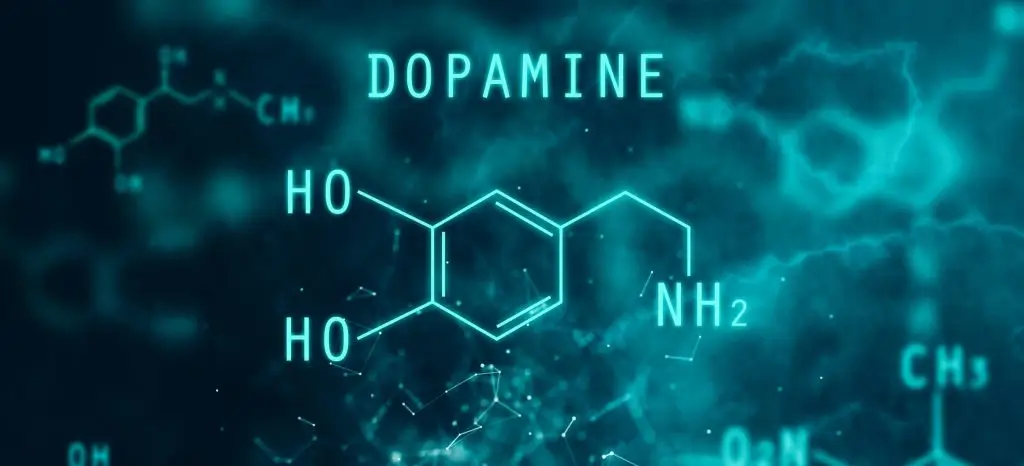 Dopamine verhogen: waarom motivatie, focus en geluk beginnen in je brein