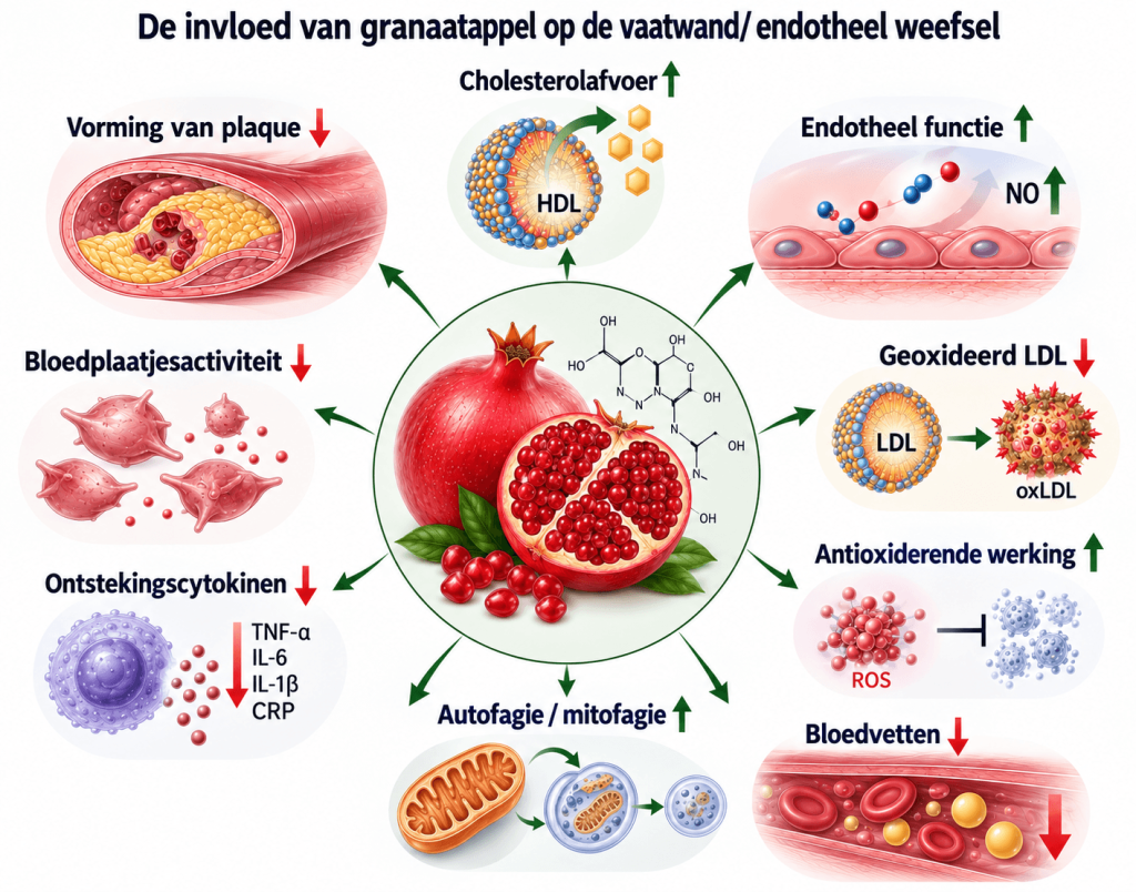 granaatappel