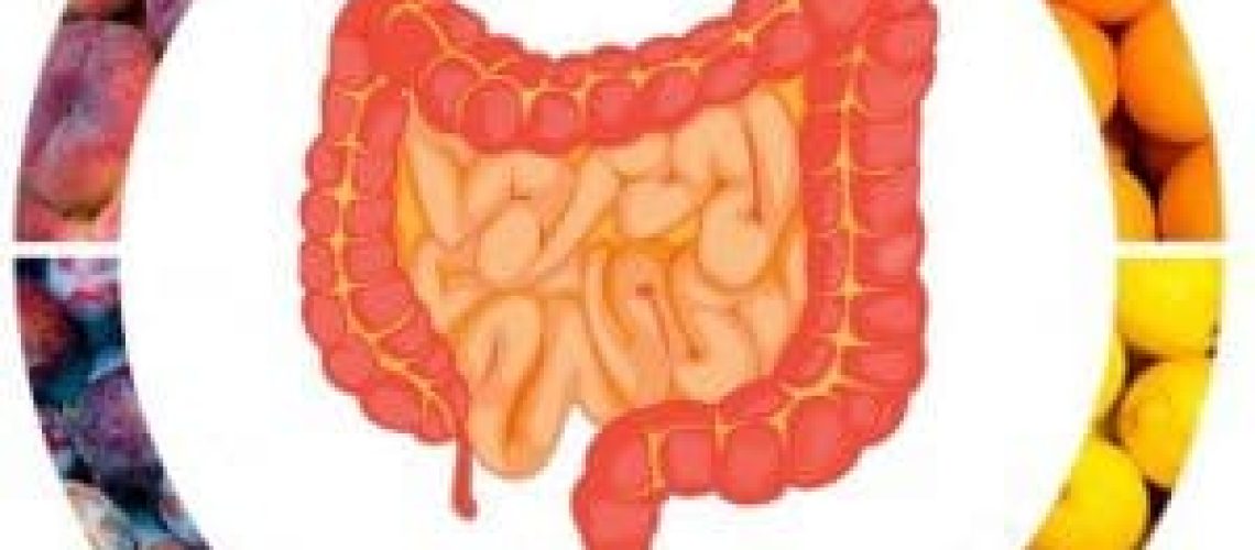 voeding en vitaliteit