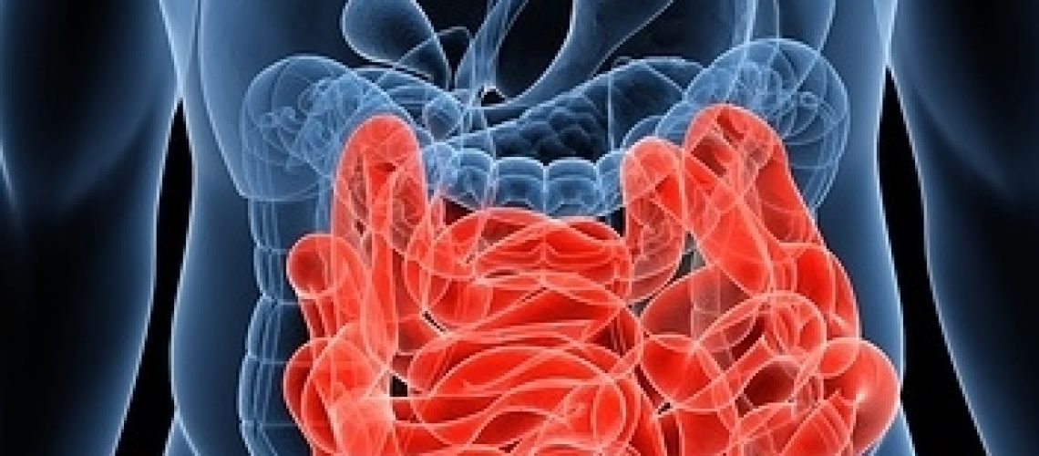 bigstock-human-small-intestines-6901049